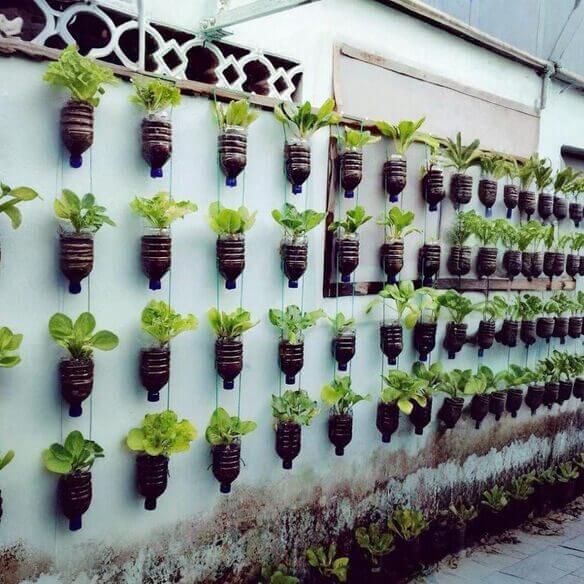 Vertical Gardening with Recycled Items