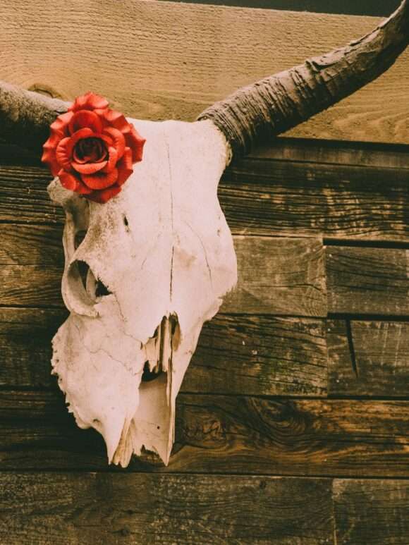 Modern Western Wall Art: How to Style Any Room