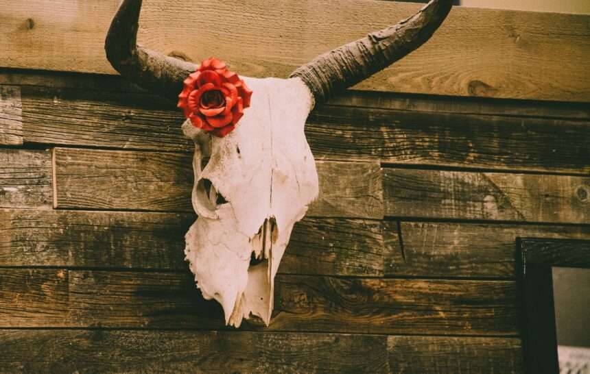 Modern Western Wall Art: How to Style Any Room